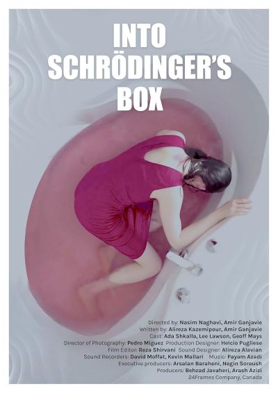 watch-Into Schrodinger s Box