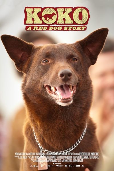 watch-Koko  A Red Dog Story