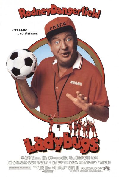 watch-Ladybugs