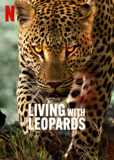 watch-Living with Leopards