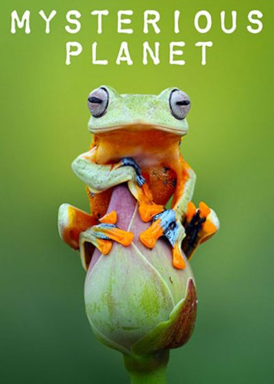 watch-Mysterious Planet