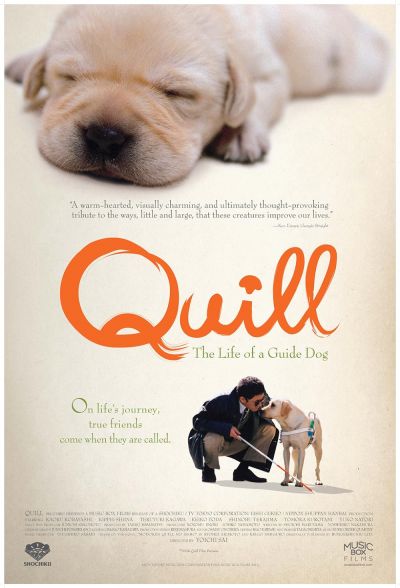 watch-Quill   The Life of a Guide Dog