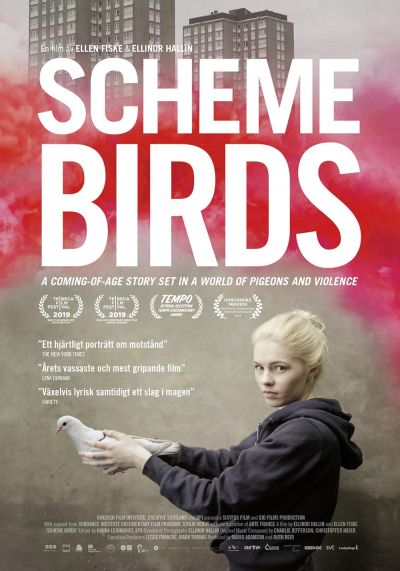 watch-Scheme Birds
