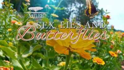 watch-Sex  Lies and Butterflies