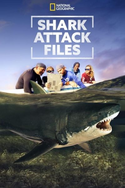 watch-Shark Attack Files