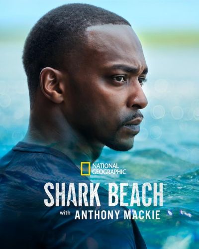 watch-Shark Beach with Anthony Mackie