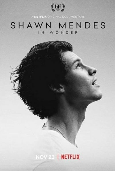 watch-Shawn Mendes  In Wonder