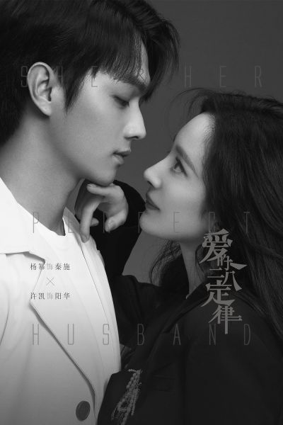 watch-She and Her Perfect Husband