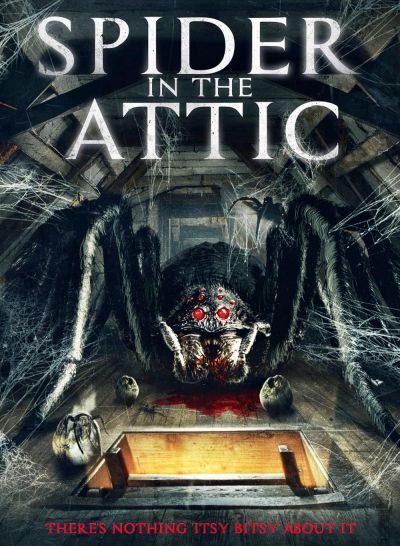 watch-Spider in the Attic