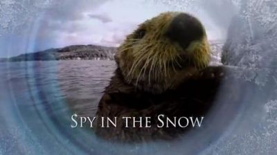 watch-Spy in the Snow