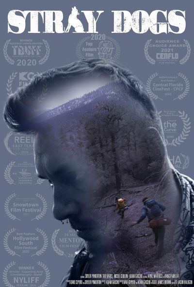 watch-Stray Dogs
