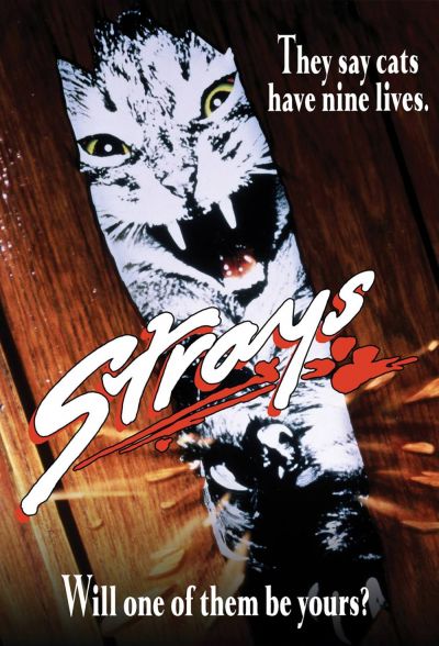 watch-Strays