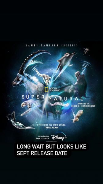 watch-Super Natural