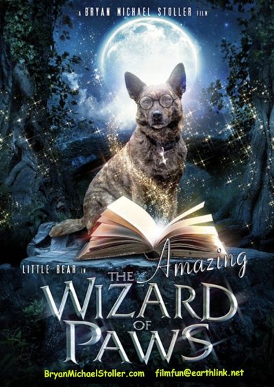 watch-The Amazing Wizard of Paws
