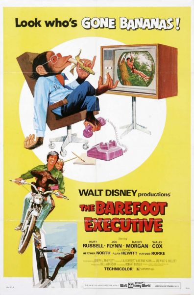 watch-The Barefoot Executive