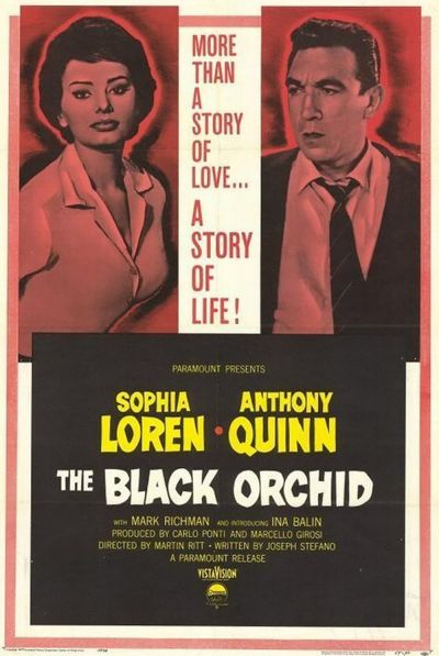 watch-The Black Orchid