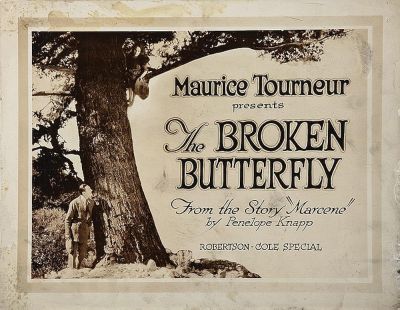 watch-The Broken Butterfly