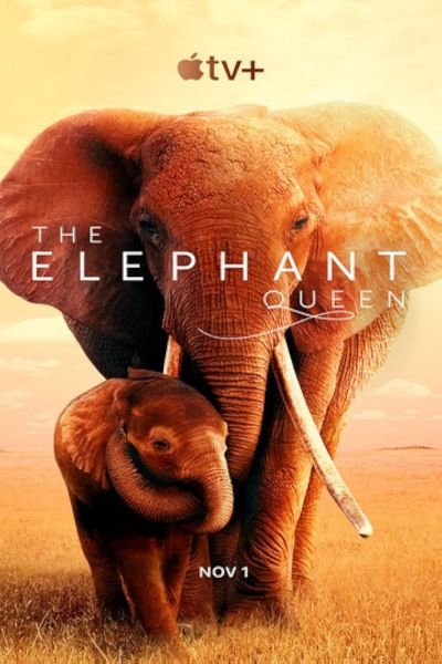 watch-The Elephant Queen