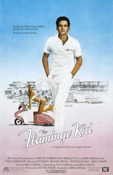 watch-The Flamingo Kid