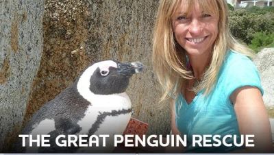 watch-The Great Penguin Rescue