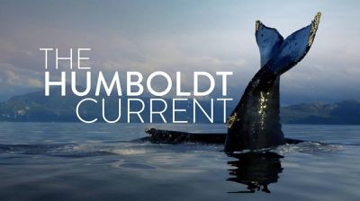 watch-The Humboldt Current