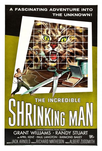 watch-The Incredible Shrinking Man