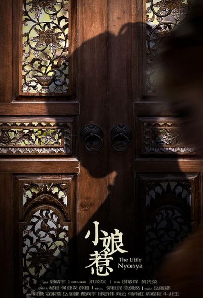 watch-The Little Nyonya