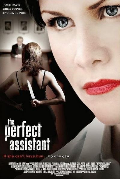 watch-The Perfect Assistant