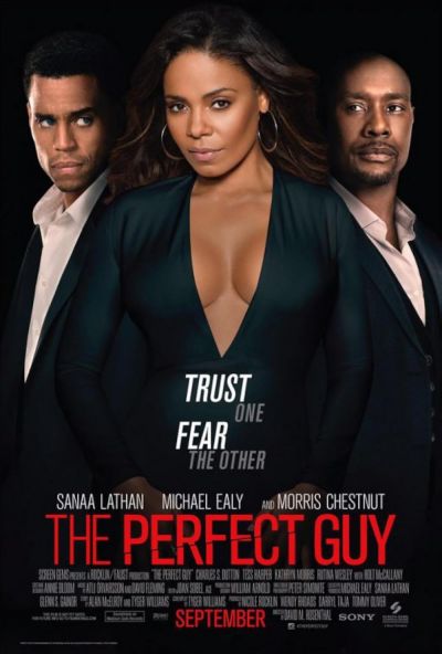 watch-The Perfect Guy