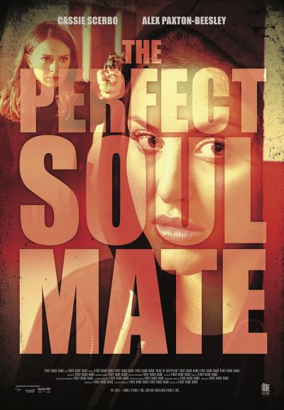 watch-The Perfect Soulmate