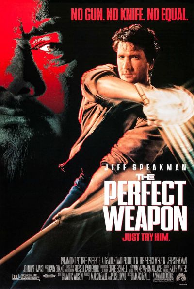 watch-The Perfect Weapon