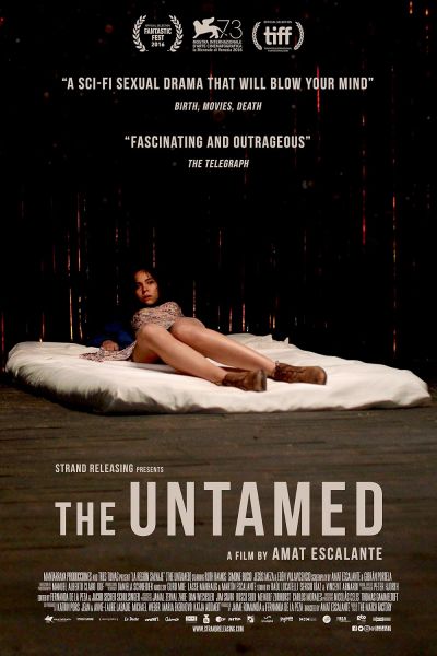 watch-The Untamed
