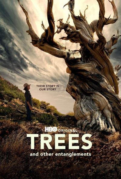 watch-Trees and Other Entanglements