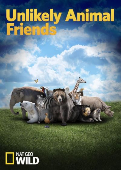 watch-Unlikely Animal Friends