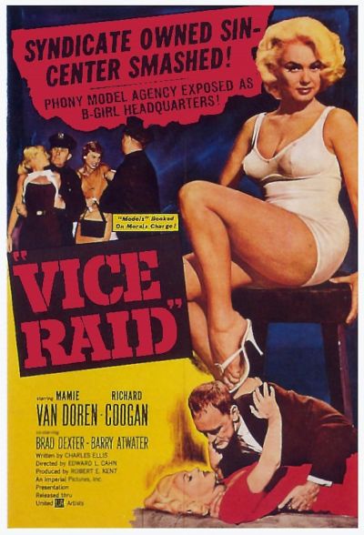 watch-Vice Raid