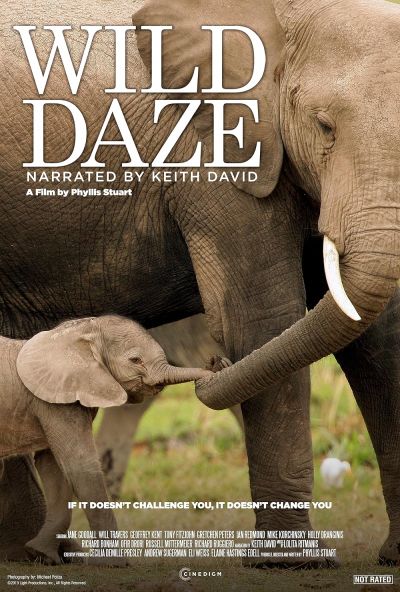 watch-Wild Daze