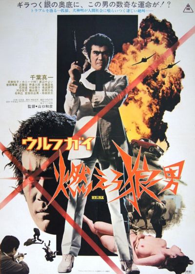 watch-Wolf Guy